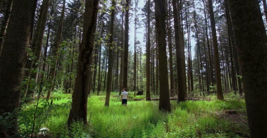 Richard Haley Wildlife Gardens, United States